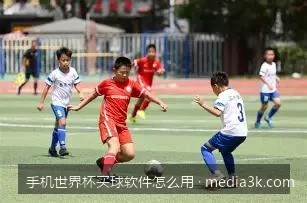 手机世界杯买球软件充值与提款操作详解：保障资金安全的几个关键步骤